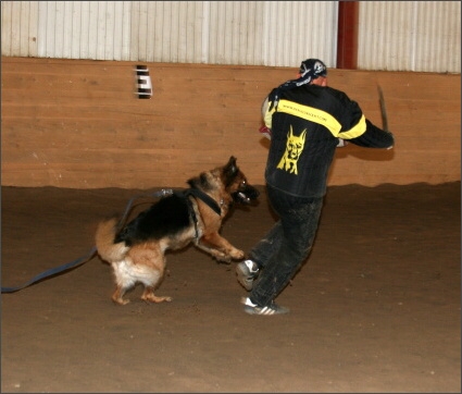 Training in Estonia 11/2007